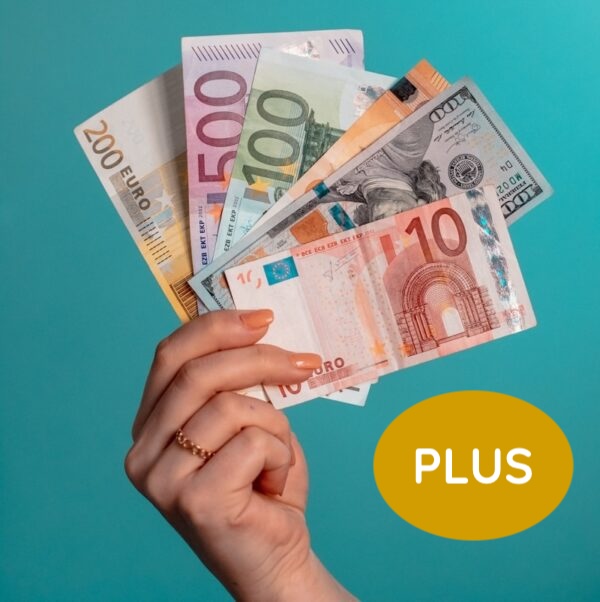 Rapid Money Manifesting Bundle PLUS